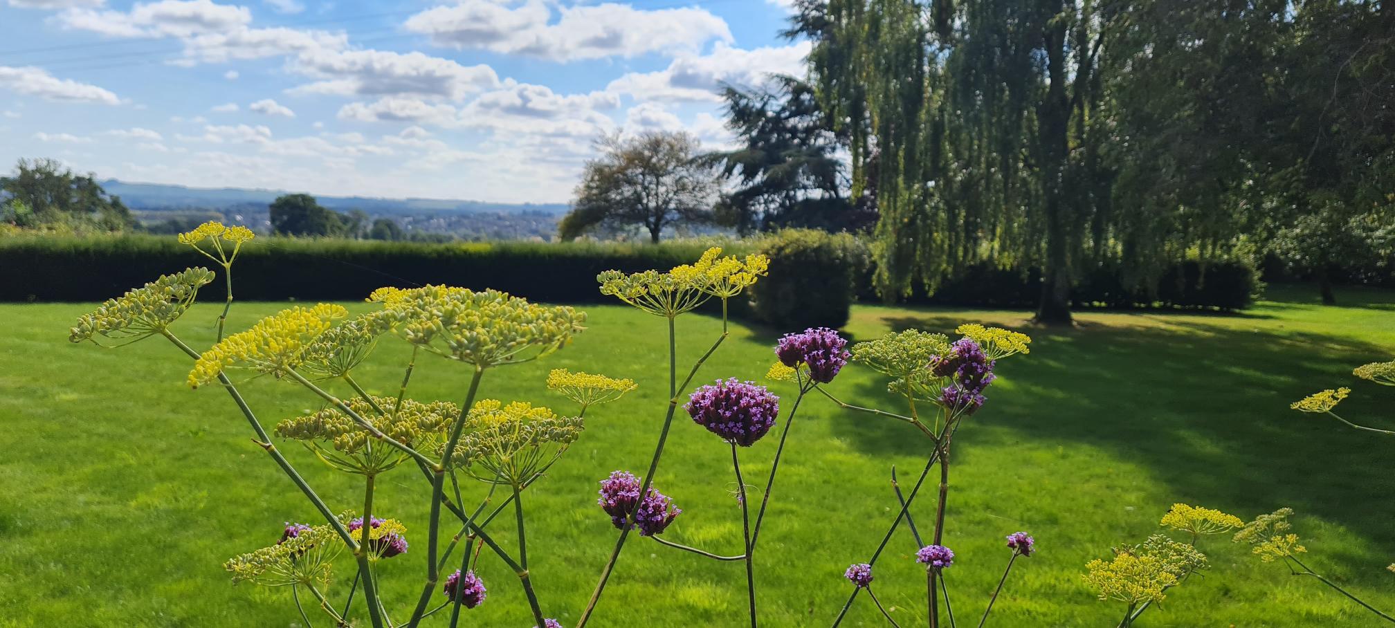 Garden design by Sarah Young