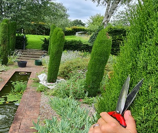 Ongoing support and aftercare